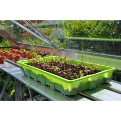 Slim kweken kweekschap Alu Sower 250x32,5cm