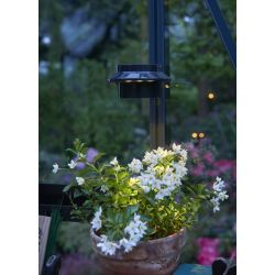 Juliana Solar Led lamp voor kas