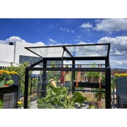 Juliana muurkas City Garden zwart