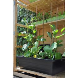 Royal Well Maxi Container 40L kweekbak