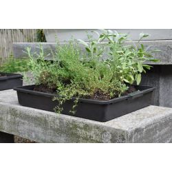Royal Well Container 15L kweekbak
