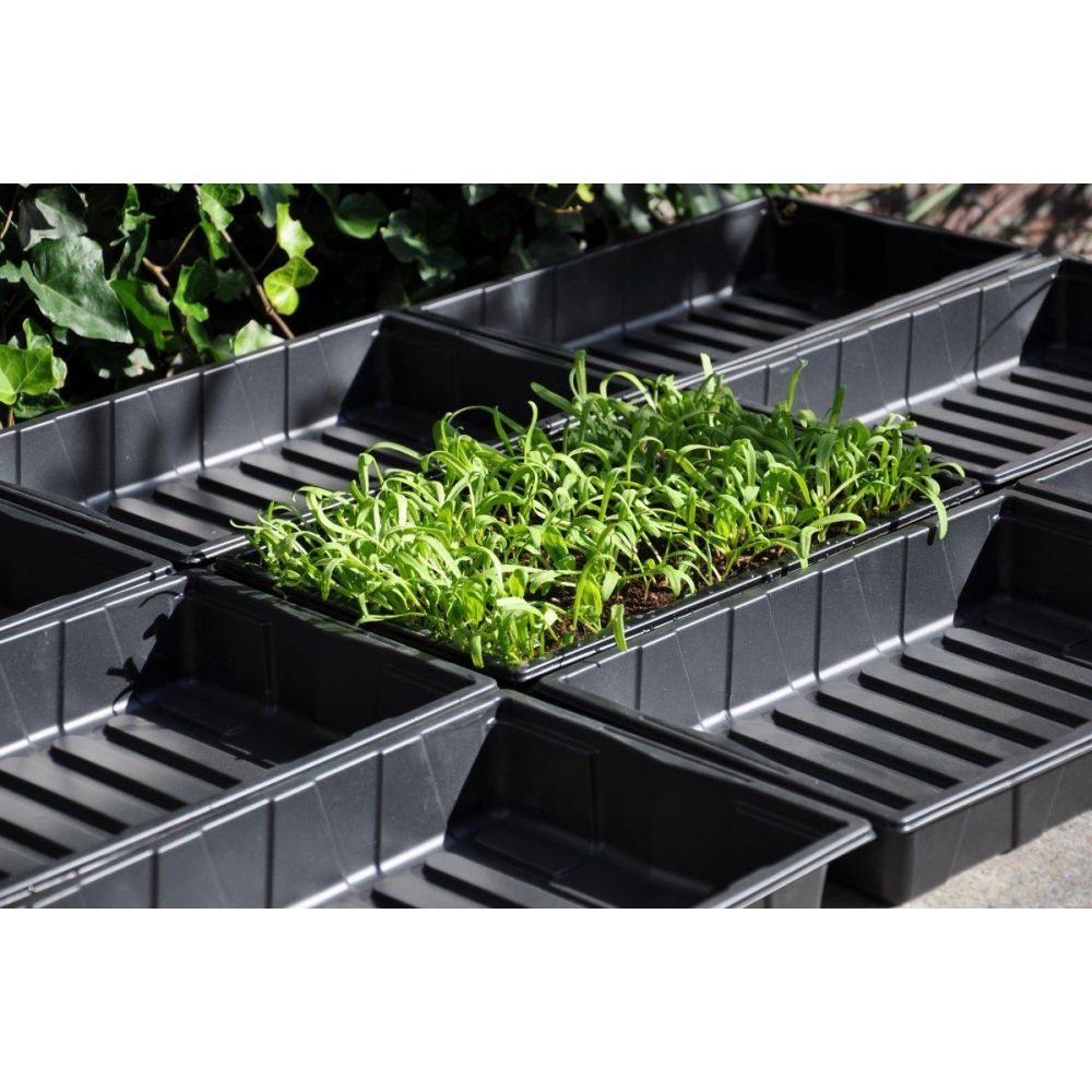 Slim kweken zaaibak 'seed tray' (set van 12 stuks)