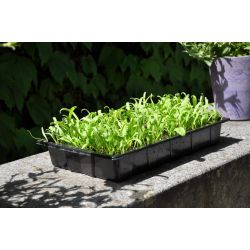 Slim kweken zaaibak 'seed tray' (set van 12 stuks)