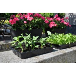 Slim kweken zaaibak 'seed tray' (set van 12 stuks)