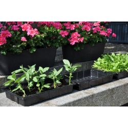 Slim kweken zaaibak 'seed tray' (set van 12 stuks)