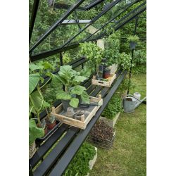 Juliana kweektafel Oase geïntegreerd - zwart