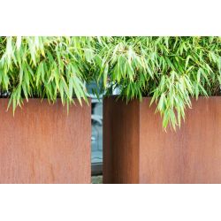 Geroba rechthoekige plantenbak Artesa B13 1200x1200x800mm - Cortenstaal