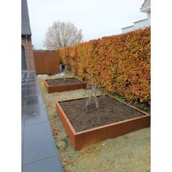 Geroba vierkante border BordQC2 1000x1000x300mm - Cortenstaal