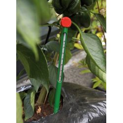 Juliana grond thermometer