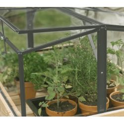 Royal Well Parsley Planter small broeikas 60x80x46cm - groengrijs