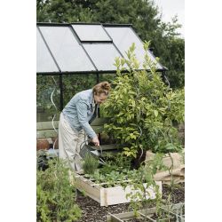Royal Well Crispy Lettuce planter 80x120x20cm - onbehandeld grenen