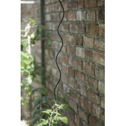 Royal Well plantspiralen (set 4 stuks) - zwart