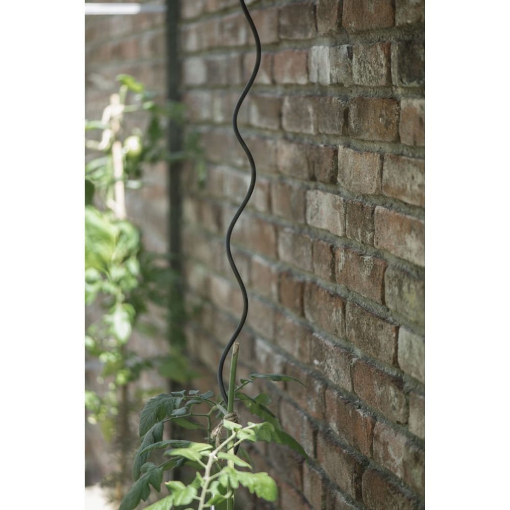 Royal Well plantspiralen (set 4 stuks) - zwart