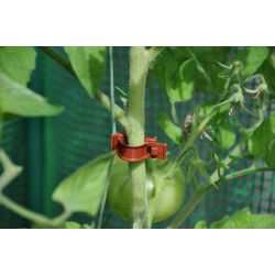 Royal Well tomatenclips (set van 20 stuks)