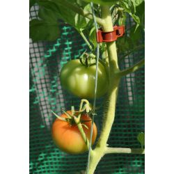 Royal Well tomatenclips (set van 20 stuks)
