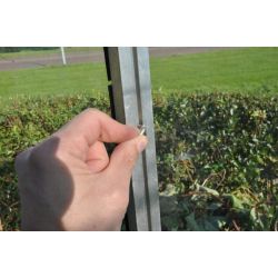 Royal Well hamerkopbouten en moeren RVS (set van 10 stuks)