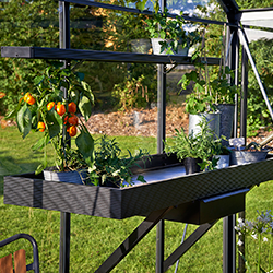 Kas accessoires kopen?