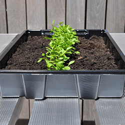 Kweekaccessoires kopen?